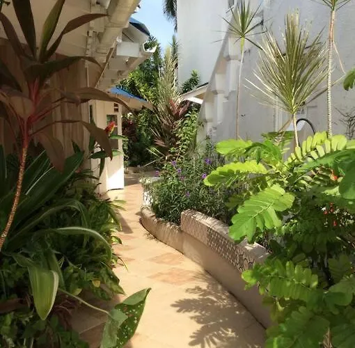 Lush Tropical Located In A 4-star *